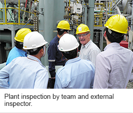 Plant inspection by team and external inspector.